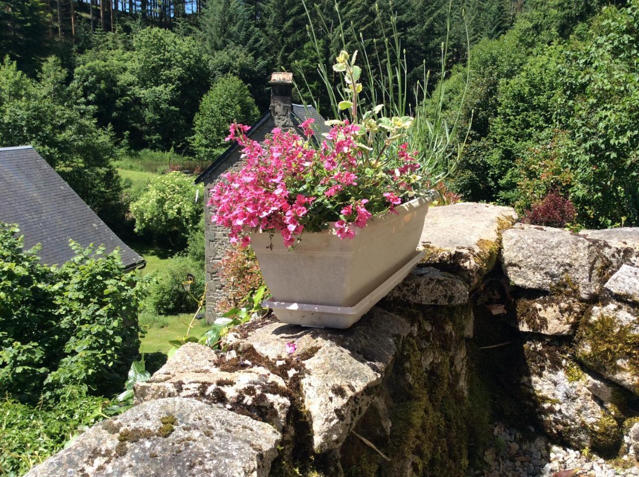 Le Moulin Des Farges Bed & Breakfast Meymac Exterior photo